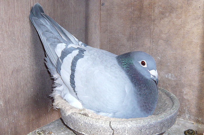 20110119-1.jpg